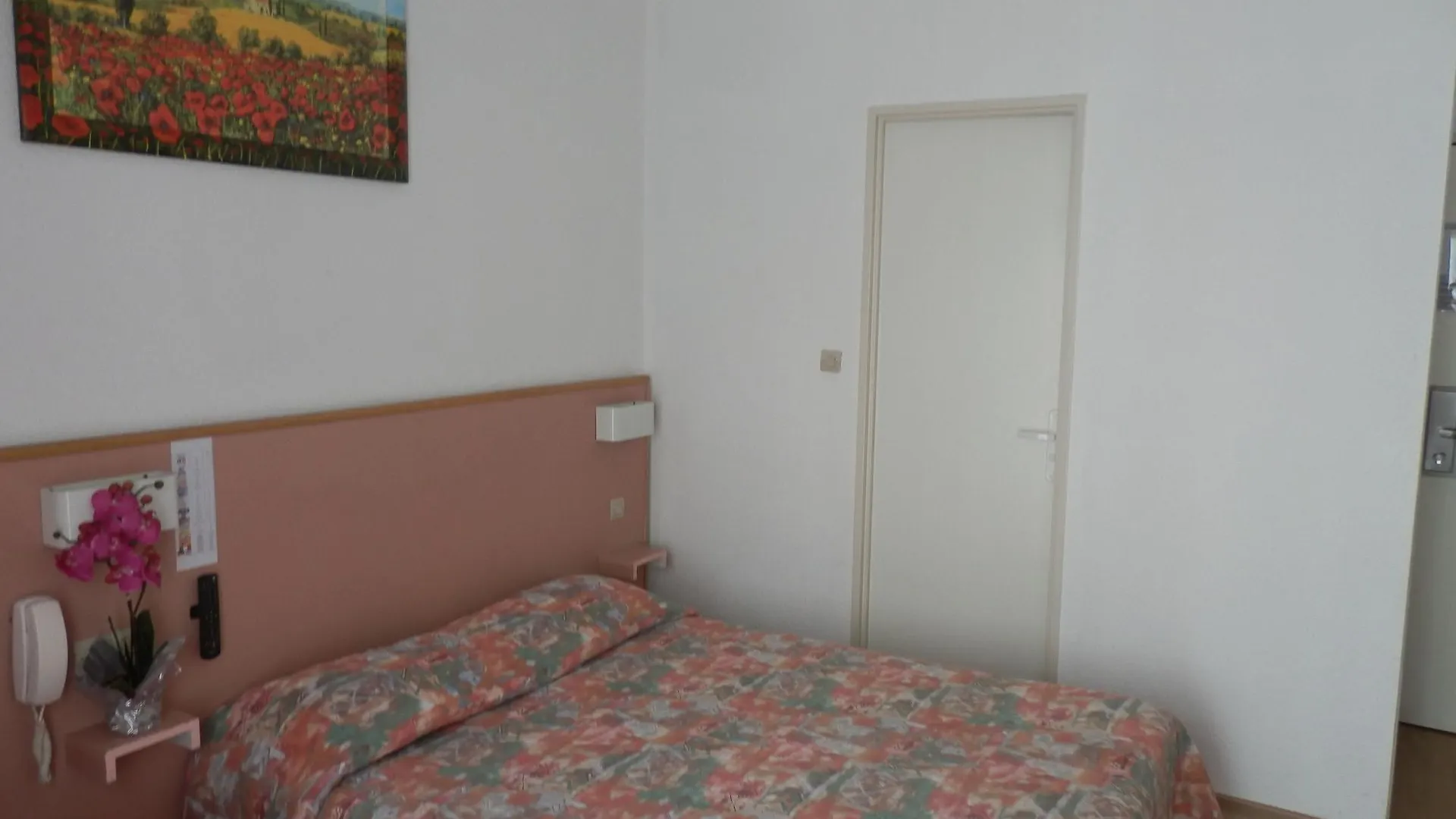 Hotel De Paris Lourdes Frankrike